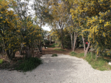 Filmlocation in Andalusien im Grünen am Meer