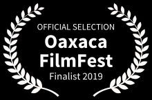 Einen Monat vor dem Festival waren alle tickets ausverkauft, alle Hotels komplett ausgebucht! Basler Vogelschwärme als Kurz-Essay-Film in Mexiko dabei! + Anreise als Finalist!