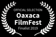 Einen Monat vor dem Festival waren alle tickets ausverkauft, alle Hotels komplett ausgebucht! Basler Vogelschwärme als Kurz-Essay-Film in Mexiko dabei! + Anreise als Finalist!