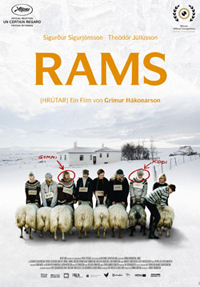 Rams - Hrútar 